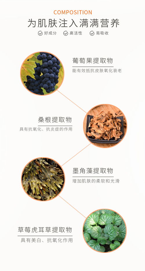 三門峽泡罩OEM工廠品牌企業(yè)與廣州蘿薇一站式市場(chǎng)營(yíng)銷策劃 強(qiáng)強(qiáng)聯(lián)合，共創(chuàng)未來